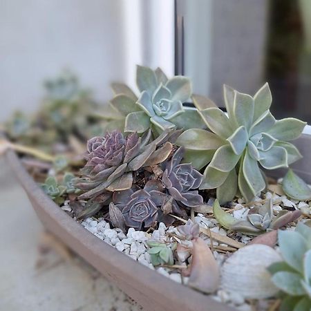 T2 De 45 M2 Sur Porticcio Avec Jardin 아파트 외부 사진